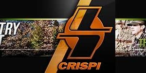 Crispi