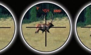 Eliminator Ballistic Laserscope I