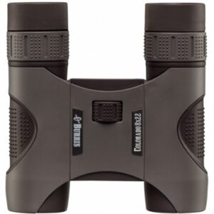 Burris Colorado 8×22